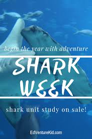 Sharks Unit Study California State Study Study Unit The Unit Interactive Vocabulary