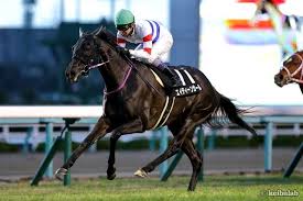 Tm + © 2021 vimeo.com,inc. ã­ã¼ã³ã©ã³ãc æ­å¹è¨å¿µã¯8çªäººæ°é¦¬ãæ¿èµ° ä»é±ãããè©ä¾¡ã¬ã¿è½ã¡ã®ä¼åµ Pr ç«¶é¦¬ãã¥ã¼ã¹ ç«¶é¦¬ã©ã