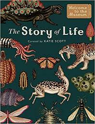 The Story Of Life Evolution Extended Edition Welcome To The Museum Ruth Symons Katie Scott 9 Katie Scott Childrens Books Illustrations Nonfiction Books