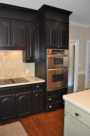 Cabinets Interior Design Kitchen Black Kitchen Cabinets Kitchen Design