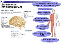 Neurological System Includes Stroke