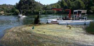 El nuevo mapa del narco en méxico: Las Plagas Del Ebro Causan Molestias Y Gastos Millonarios