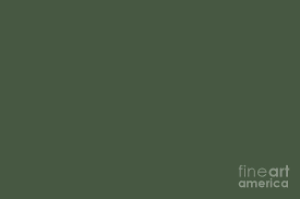 Forest green rovers results and fixtures. Dark Pine Forest Green Solid Color Pairs To Farrow And Ball 2020 Color Duck Green W55 Digital Art By Melissa Fague