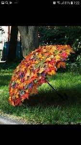 Parapluie Feuilles Deco Automne Photographe Nature Parapluie