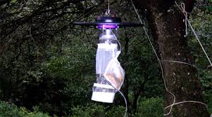 Resultado de imagen para trampas de luz