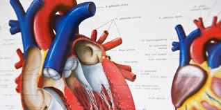 Verursacht wird diese entzündung in. Herzschwache Gut Zu Behandeln Rhon Gesundheitsblog