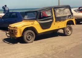 Image result for Brun Guaranja 2011 Citroen