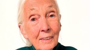 Jane Goodall