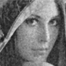 A Low-Cost VLSI Architecture of the Bilateral Filter for Real-Time Image  Denoising