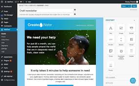 It also helps in growing one's. 8 Best Wordpress Newsletter Plugins Free Paid 2021 Theme Junkie