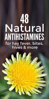 Natural Antihistamines For Allergy Relief Natural Antihistamine Herbs For Health Natural Allergy Relief