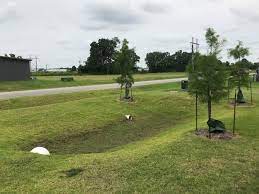 Jun 03, 2021 · everyone knows the infrastructure is not perfect. Retention Pond Vs Detention Pond Manuel Builders