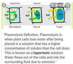 Q 3 What Is Plasmolysis Explain With The Diagram Brainly In
