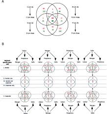 Pure slim 1000 has several testimonials on their main website, but we're always cautious when it comes to websites controlling their own reviews. Two Dimensional Transcriptome Analysis In Chemostat Cultures Journal Of Biological Chemistry