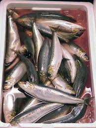 Resepi Ikan Sardin Copd Blog Q