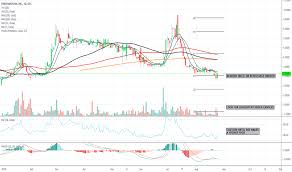 fngr stock price and chart otc fngr tradingview