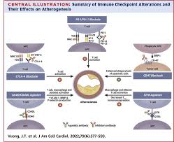 Image result for Immune Checkpoint Inhibitor