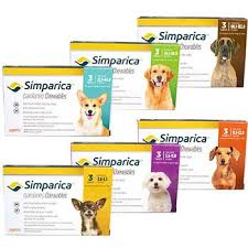 Simparica (sarolaner) was just introduced in march 2016. Buy Simparica For Dogs On Sale Now 1800petmeds Category Uuid 258049c23589486bf5b648a6f4