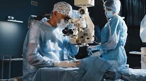 Image result for Blepharis sol