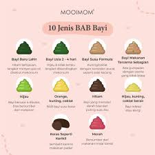 Assalamualaikumhai hallo.140620kali ini aku mau sharing lagi perkembangan baby aisyah di usia 10 bulan. Facebook