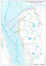 Image result for Gunillaea rhodesica