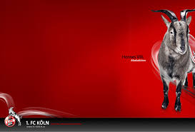 Gummibärchen in form des maskottchen in den vereinsfarben gestalten den inhalt des beutels. 1 Fc Koln Wallpapers Wallpaper Cave