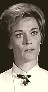 Wagon Train" The Donna Fuller Story (TV Episode 1962)