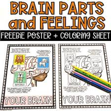 Human brain anatomy coloring page free printable coloring pages. Brain Coloring Worksheets Teaching Resources Tpt