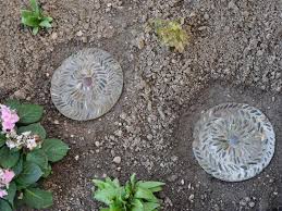 Ich habe übrigens schon diverse mosaiktrittsteine für den garten hergestellt. Mosaik Schrittplatten Fur Den Garten Selber Herstellen Garten Ch