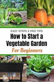 How To Start A Vegetable Garden For Beginners Vegetable Garden For Beginners Starting A Vegetable Garden Gardening For Beginners