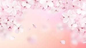 We did not find results for: Blossoming Light Pink Sakura Flowers Floral Background Flower Backgrounds Flowers