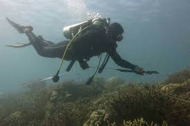 Swedia adalah negara dengan jumlah pulau terbanyak di dunia. Kronologi Hilangnya Wisatawan Swedia Di Perairan Pulau Komodo
