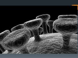 We did not find results for: Electron Microscopes Gateways To The Hidden World Of