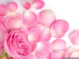 Pink and blue also mix well with other colors to create an even more colorful space. Light Pink Flower Wallpapers Top Free Light Pink Flower Backgrounds Wallpaperaccess