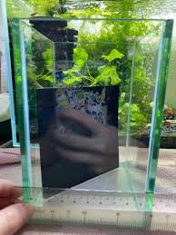 Betta fish are not a particularly large species, but all aquarium fish need space to swim. Betta Fish Tank Pet Supplies For Fish Fish Tanks On Carousell