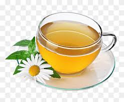 We did not find results for: Herbal Png Images Pngwing