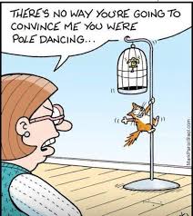 Dreams about a white cats attacking can indicate that you are holding some internal aggressions about a situation you are at peace with. What Dream About Cat Bite Means