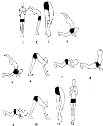 You should inhale and exhale through the nose while practicing surya namaskar yoga. Postures Of Surya Namaskar Download Scientific Diagram