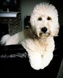 Bronson Reed doing breakfast with his cute little daughter ❤️❤️❤️
