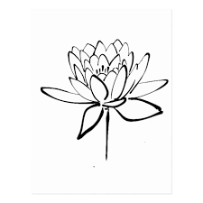 Lotus Flower Black And White Ink Drawing Art Postcard Zazzle Com In 2020 Flower Line Drawings Flower Drawing Flower Sketches