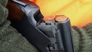 Rechercher journée de chasse aux sangliers dans le var ou bouches du rhône entre le 1 et le 13 août. Somme Des Chasseurs Au Gibier D Eau Bravent Le Confinement Pour Aller A La Hutte