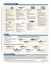 Agfc guidebooks contain an interpretive summary of the arkansas game and fish commission's hunting and fishing regulations and covers only the regulations that most commonly affect hunters and anglers. Florida Recreational Saltwater Fishing Bag Limits Seasons