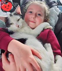 update Freddie has been found safe””” Missing Marlton Springs, Wicklow Town  since Sunday night Ref Louise