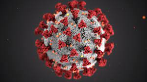 Part des nouveaux cas de coronavirus diagnostiqués par test pcr sur le nombre total de tests effectués dans le département sur une semaine glissante, en pourcent (chiffre entre parenthèses : Covid 19 Le Variant Breton Va T Il Changer Le Profil Epidemiologique De La Bretagne