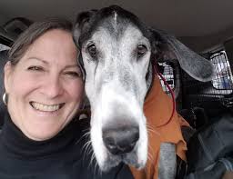 How to last 50+ years as a dog trainer: Understand you will see many F'd up  dogs. Dogs poorly bred, in ill health or poorly treated by people. You'll  work with anxious