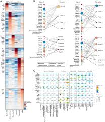 A Cellular And Spatial Map Of The Choroid Plexus Across