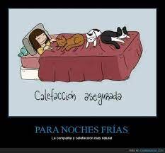 Pin Em Humor Para Todos Los Publicos