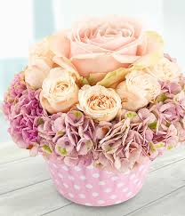 Fairy Cake The Flower Bowl Florist Rathgar Dublin 6