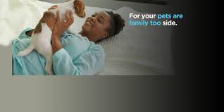 Check spelling or type a new query. Nationwide Pet Linkedin