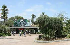 Top san diego zoo coupon: Discount Tickets San Diego Zoo 2021 Coupons And Discounts